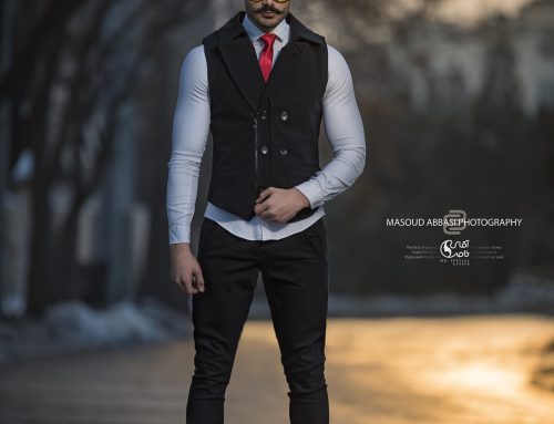 مدل‌ آقای خاص